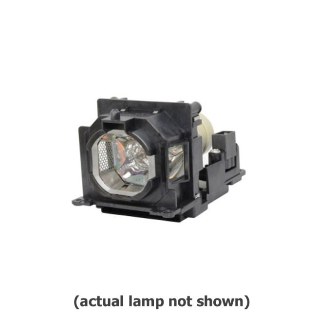 Replacement Lamp